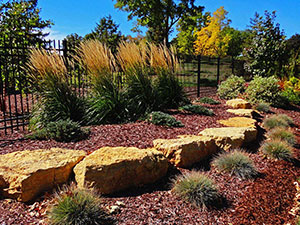 Landscape Beds & Plants